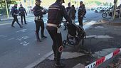 Mamma e bimbi travolti dal pirata