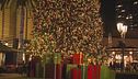 Pronti al Natale tra luci e magia