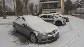 Neve e gelo, feste con il maltempo