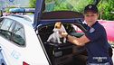 Polizia, viaggiare in sicurezza