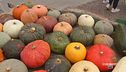 Domenica 20 ottobre