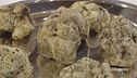 Il tartufo bianco dei boschi di Muzzana del Turniano