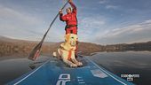 Il dog sup