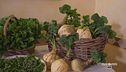 La tradizione culinaria ligure