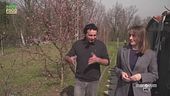Giovani agricoltori