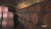 Le cattedrali sotterranee di Canelli
