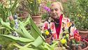La contessa dei tulipani