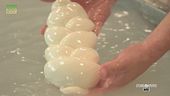 La mozzarella di bufala