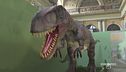 Alla scoperta dei dinosauri