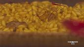 Risotto alla Monzese