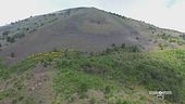 Il Parco Nazionale del Vesuvio, simbolo di biodiversità