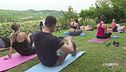 La giornata internazionale dello yoga