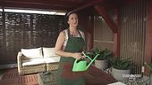 Il mestiere dei plants sitter