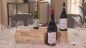 I vini delle Langhe