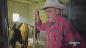L'unico cowboy italiano