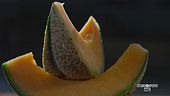 Il melone