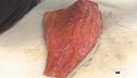 La trota salmonata della Valle d'Aosta
