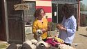 La storia di Alexa Castagno