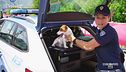 Polizia, viaggiare in sicurezza