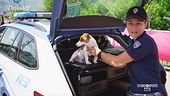 Polizia, viaggiare in sicurezza