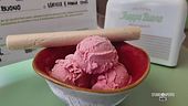 Il gelato per i diabetici