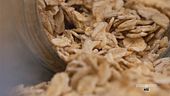 Le proprietà dell'avena