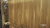 La pasta di Gragnano