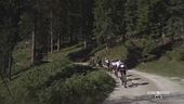 Primiero Dolomiti Marathon
