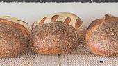 Il pane