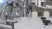 Lo yogurt artigianale