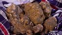 Il tartufo umbro di Citta di Castello