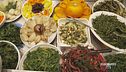 La cultura del vegetale
