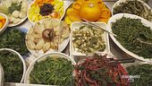 La cultura del vegetale