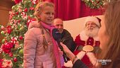 Addobbi, luminarie e i tradizionali mercatini di Natale