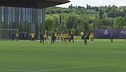 Fiorentina, la finale