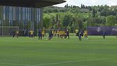Fiorentina, la finale