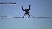 Mondiali di slackline