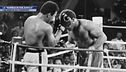 La "Rumble in the jungle"
