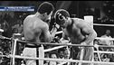 La "Rumble in the jungle"