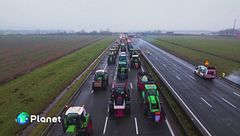 Puntata dell'11 febbraio