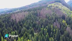 Puntata del 26 maggio