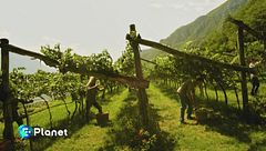 Puntata del 2 giugno