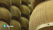 Il formaggio di montagna