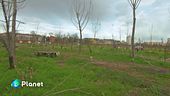 Campagna in città, il progetto CasciNet