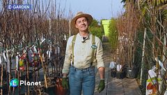E-Garden: gli alberi da frutto