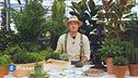 E-Garden: le erbe aromatiche
