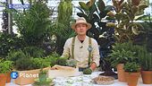 E-Garden: le erbe aromatiche