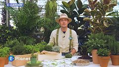 E-Garden: le erbe aromatiche