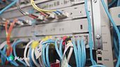 Il web si alimenta a nucleare