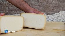Formaggi a rischio estinzione